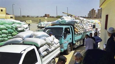 شون وصوامع كفر الشيخ تستقبل 39971 طنًا و 618 كيلو قمح 