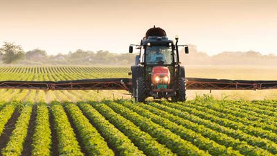 بلومبرج: الحرب الكيماوية بدأت من محاولات إطعام مليارات البشر