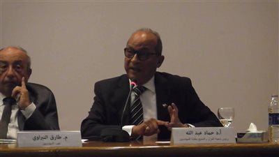 د. حماد عبدالله يكتب: الوطنية المصرية 