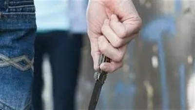 بسبب خلافات بينهما.. مزارع يطعن زميله حتى الموت في 