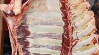 ضبط 404 لحوم وأسماك 