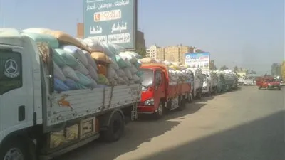 توريد 44 ألف طن قمح إلى صوامع وشون الغربية