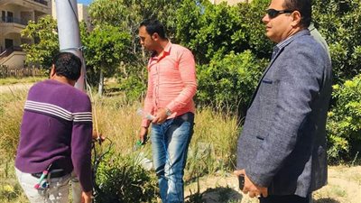 جمصة تستعد لموسم الصيف بصيانة الطرق والإنارة  