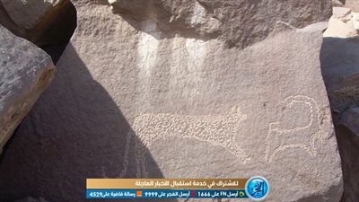 العثور على نقوش ملكية عمرها 6000 عام في أسوان (صور)