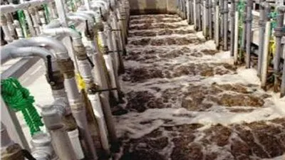 تخصيص  225 مترا لإقامة محطة رفع صرف صحى بكفر الشيخ