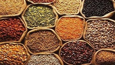 أسعار البقوليات اليوم الأحد 2019-5-12 في محافظة الفيوم