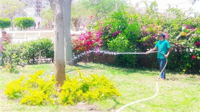 رفع كفاءة حديقة شجرة الدر التابعة لحي غرب المنصورة بشارع المشاية السفلية