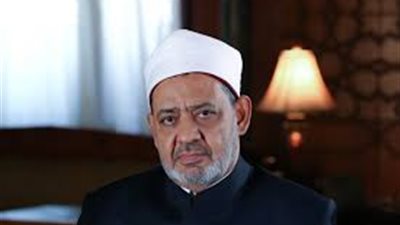 شيخ الأزهر: إذا توددت الزوجة إلى زوجها ستدخل الجنة من أي باب شاءت
