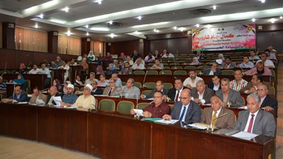 استمرار عمل التوك توك بقرى وعزب الدقهلية لتسهيل الانتقال للمواطنين 