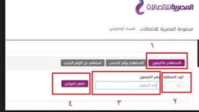 استعلم عن فاتورة كهرباء مايو 2019 وطرق السداد الفوري عبر الإنترنت