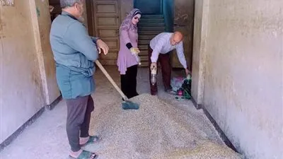 زراعة الفيوم تطلق فعاليات الحملة القومية لمكافحة القوارض بـ 18 جمعية زراعية بمركز أبشواي 