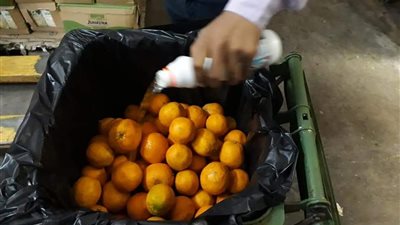 غلق منشأة واعدام 50 كيلو مواد غذائية غير صالحة للاستهلاك الآدمي بالغردقة (صور) 