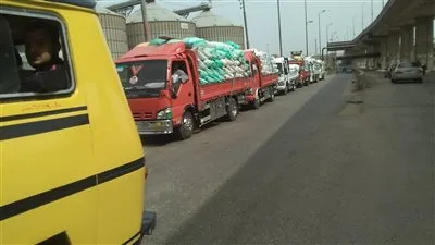 وكيل زراعة الدقهلية: توريد ١٢٤ ألف طن في شون وصوامع المحافظة