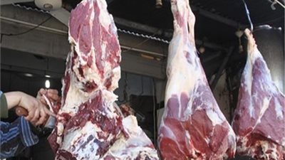 أسعار اللحوم البلدي والضأن والكندوز والبتلو اليوم الأحد 19 مايو 2019