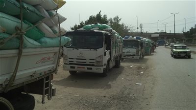 شون وصوامع الدقهلية تستقبل 155 ألف طن قمح حتى الآن