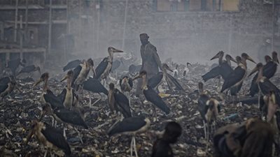 بينهم مصر.. 6 دول عربية معرضة لخطر قاتل يمحو المدن بسبب الحر الشديد