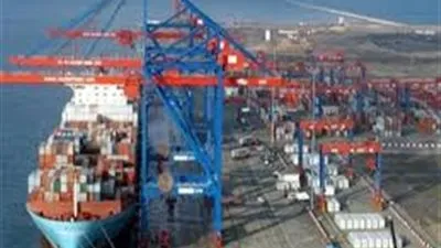 توريد ١٩ ألف طن قمح إلى الصوامع بدمياط 