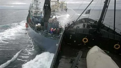 فقدان بحارة بعد اصطدام سفينتين قبالة السواحل اليابانية