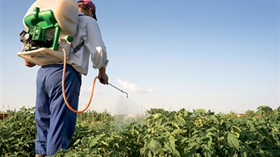 مدير قاعدة الجراد بأسوان: البدء في مكافحة ومقاومة الجراد 