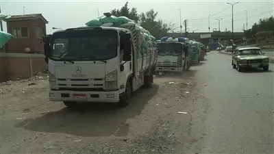 شاروبيم: 166 ألف طن قمح تم توريدهم لصوامع وشون الدقهلية