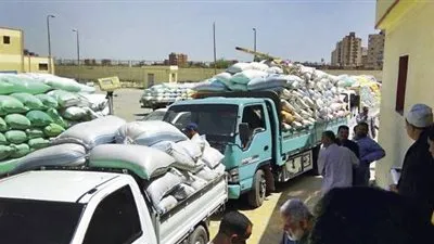 شون وصوامع كفر الشيخ تستقبل 125889 طن قمح من المزارعين    