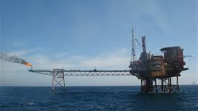 الحكومة الجزائرية تعرقل استحواذ 