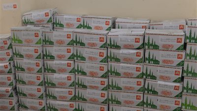 الأورمان توزع 600 شنطة رمضان على أهالي القرى الأكثر احتياجًا بسوهاج