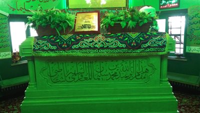 جمع قراءات القرآن وعلم الحديث واستشاره السلطان بيبرس.. قصة الولي