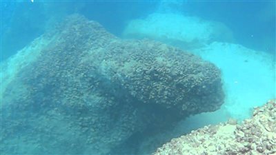 العثور على كنز عمره 300 سنة غارق أمام الساحل الشرقي لولاية فلوريدا الأمريكية