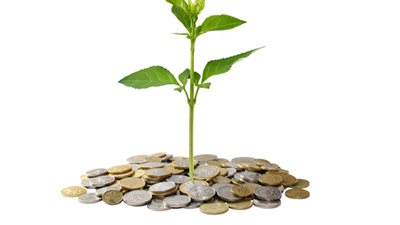 السودان تجمع 7.3 مليون جنيه أموال زكاة من أحد الولايات