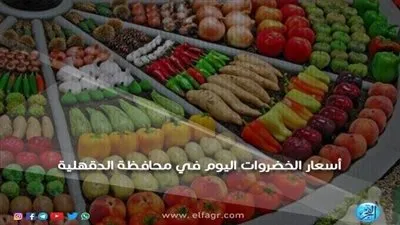 أسعار الخضروات اليوم الثلاثاء 4-6-2019 بمحافظة الدقهلية