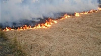 عاجل.. السيطرة على حريق مخزن قش أرز بالشرقية