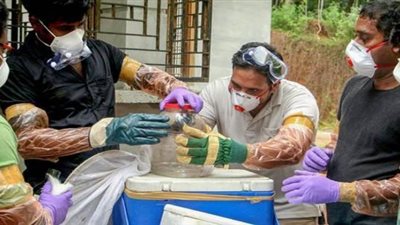 انتشار فيروس 