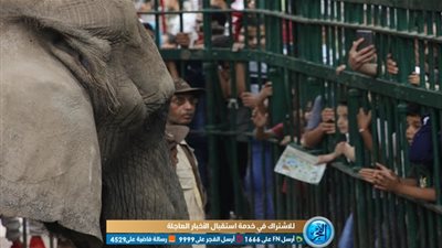 شاهد.. فرحة المصريين بعيد الفطر في حديقة الحيوان (صور) 