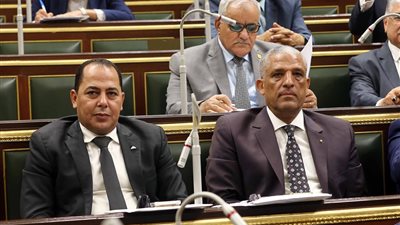 البرلمان يوافق على مشروع قانون المحكمة الدستورية العليا في مجموعه