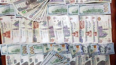 دورية أمنية تسقط اثنين من تجار العملات الأجنبية في السوق السوداء ببولاق أبو العلا