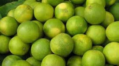 مفاجأة في سعر الليمون حاليا بأغلب الأسواق