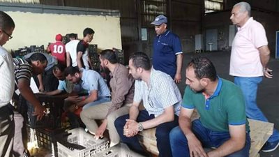 ننشر صور شحنة المخدرات المضبوطة داخل حاويتين تفاح بدمياط 