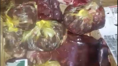 ضبط لحوم مجهولة المصدر ومصنع آيس كريم مخالف للاشتراطات الصحية بأسيوط