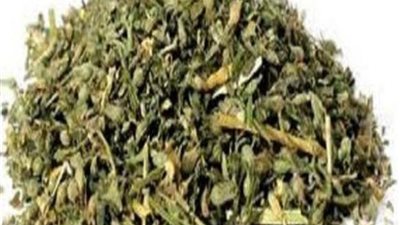 تجديد حبس عامل وشقيقته لتصنيعهما 