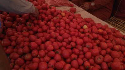 إعدام 200 كيلو أغذية تالفة في بلقاس بالدقهلية 