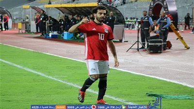 حوار- مدرب الأهلي: سننظم بطولة 