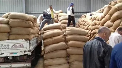 توريد 170 ألف و849 طن قمح لصوامع وشوّن قنا