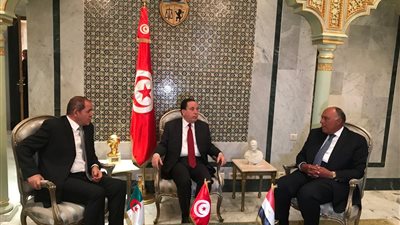 عاجل.. مصر تؤكد ضرورة مواجهة التدخلات الخارجية المرفوضة في ليبيا