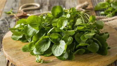 فوائد ماسك الجرجير للشعر