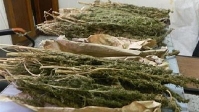 3 كيلو بانجو.. سقوط تاجري 