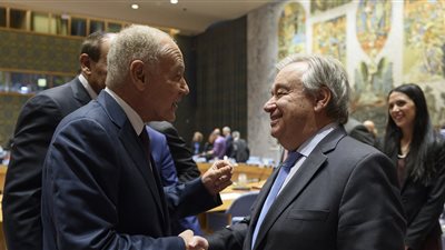 أبو الغيط: لن ينعم إقليمنا بأمن أو استقرار دون إنهاء الاحتلال الإسرائيلي 