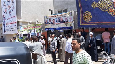 اقبال كثيف على انتخابات الغرف التجارية بأسوان.. (صور)