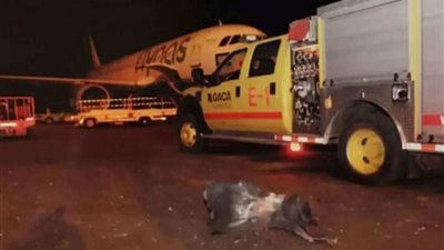 مدير جامعة القصيم مستنكرًا هجوم أبها: 