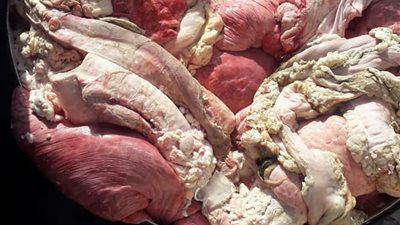 بيطري الفيوم يضبط 758 كيلو لحم رأس و6160 فرخة مذبوحة خارج المجازر 